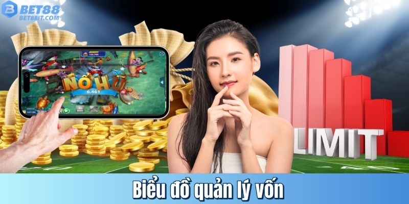 Biểu đồ quản lý vốn
